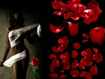 woman & rose petals