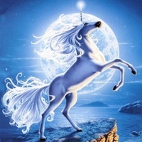 Unicorn and the moon