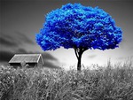 Blue Tree