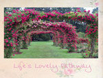 rose arbor