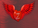 wings of love