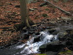 Small waterfall in Creek