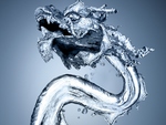 Water Dragon