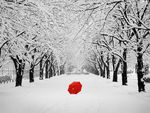 red umbrella