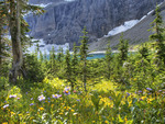 Iceberg Lake