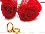 Red roses with Golden wedding rings.