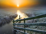 Fence at sunrise