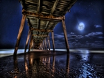 Under the Jetty Moon