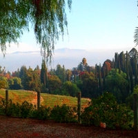 Walk on Sunset Drive