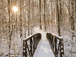 A Bridge in the Snow
