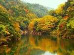 Japanese Autumn Landscape