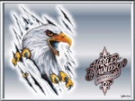 harley-Davidson aigle d'argent