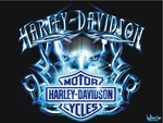 harley-Davidson tribal bleu