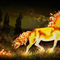 Trotting Inferno