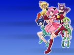 Mew Mew Team