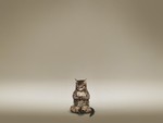 Silence! Cat Meditating ...