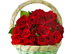 Red Roses