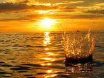 Sunset Splash
