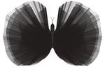 Black Butterfly