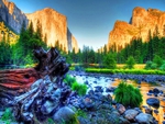 Beautiful Yosemite in HDR