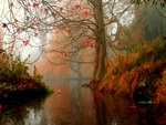 MISTY RIVER