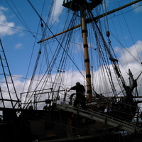 Sorting the Rigging