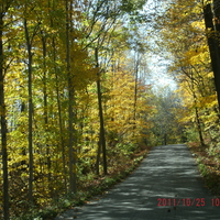 Fall Colors all in one place