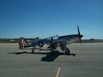 P51 Mustang - Betty Jane