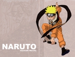 Naruto scrolls