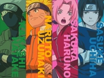 team7