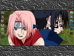 Sakura & Sasuke