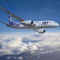 ANA Boeing 787 First Delivery Special Livery