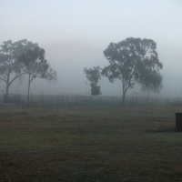 a misty australian morning