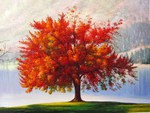 The autumn tree