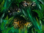 Jungle eyes
