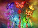 Dream Catcher