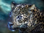 In The Eyes Of A Leopard
