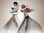 Steins Gate