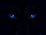 Blue eyes of the wolf
