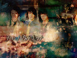 the Jonas Brothers