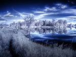 Infrared Winterscape