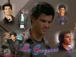 Taylor Lautner