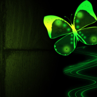 Green Butterfly