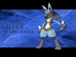 Lucario - The Aura Master