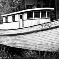 Jenny from forest gump