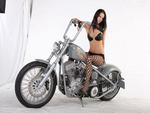 HARDTAIL BOBBER AND LACE