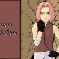 sakura