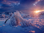 Frozen sunset