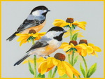 Chickadees and sunflowers