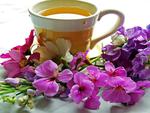 Beauty of flowers and a hot tea